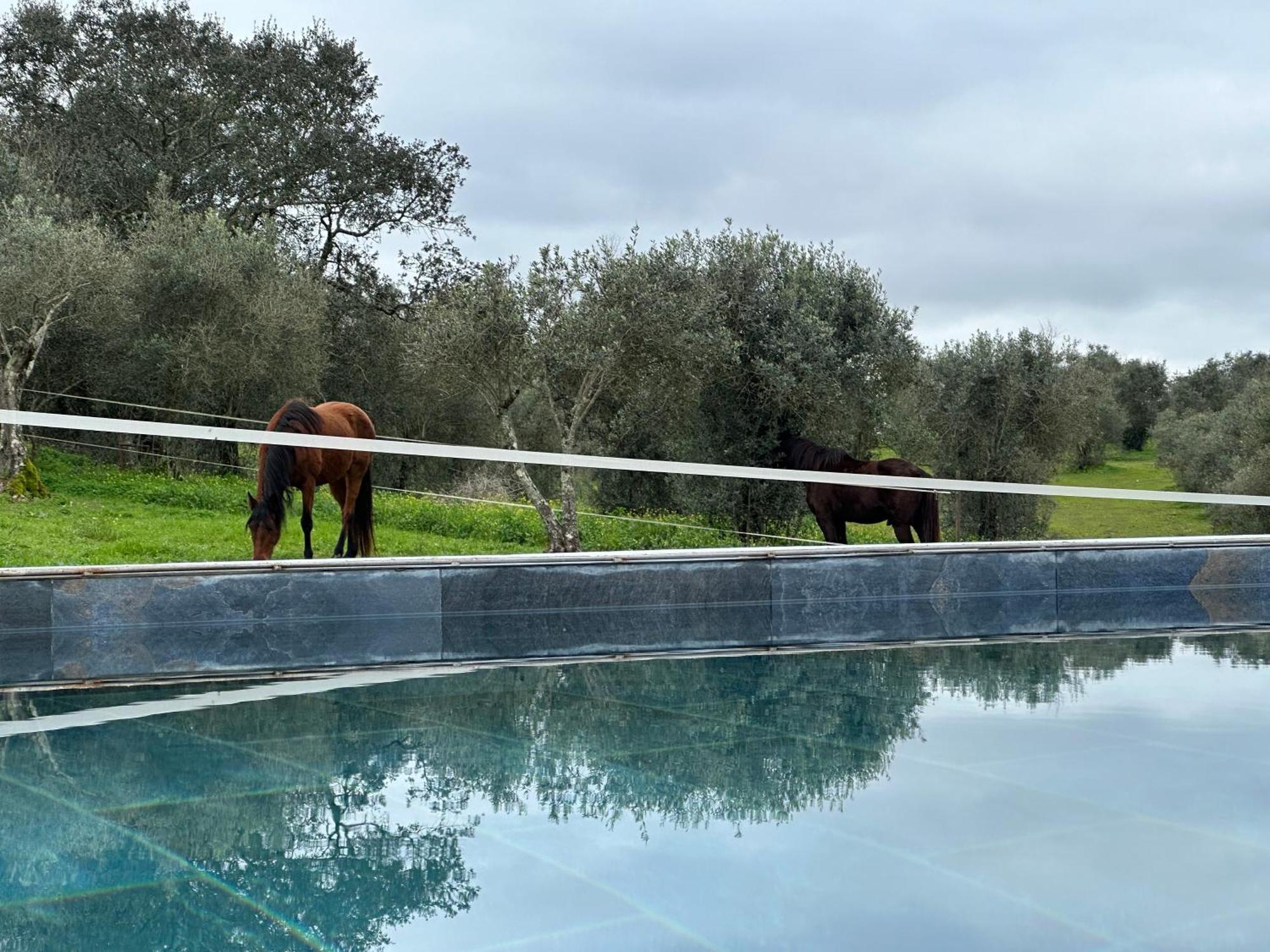 Courela Do Monte Novo Ii Holiday home Santa Suzana